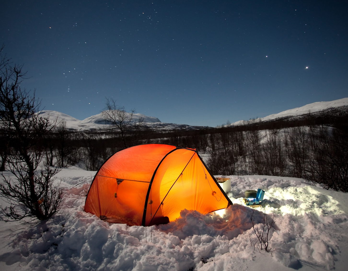 The Best Elegant Forest Cabin Retreats - Gaias Glamp Ground 